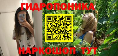 амф Камышлов
