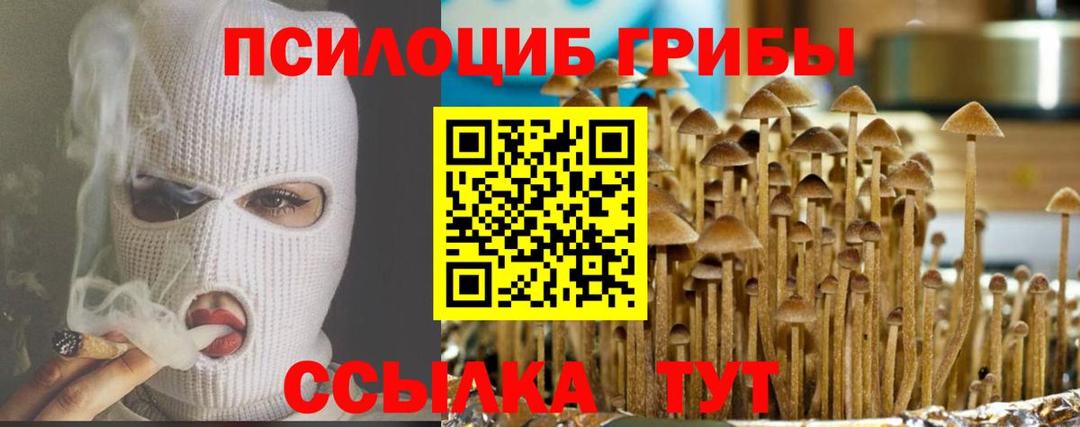 Кстово  Галлюциногенные грибы GOLDEN TEACHER  Вход с VPN 